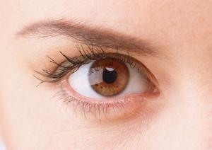 【2026年最新版】埋没法の選び方とリスク・成功例を徹底解説!満足度を高めるための完全ガイド